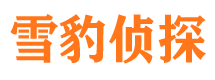 湖滨市婚姻出轨调查